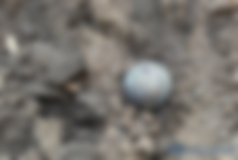 Суббоєприпас Х-59