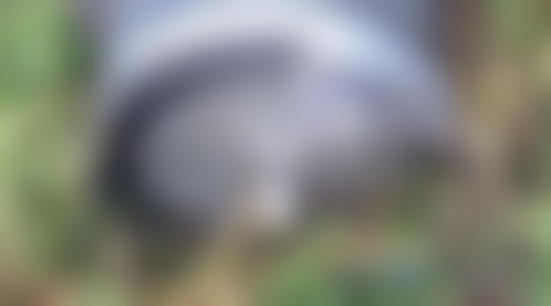Запалювальна бойова частина БпЛА Герань-2