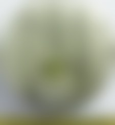 493M